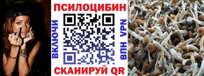 купить   Барыш  Галлюциногенные грибы Magic Shrooms 